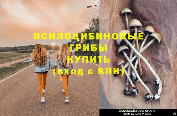 бутират Балабаново