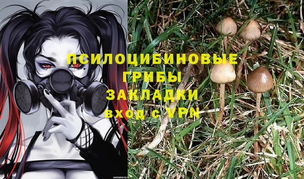apvp Баксан